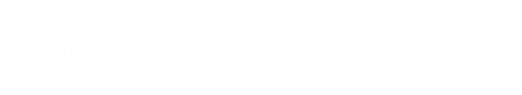 Акваинжиниринг